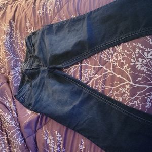 Maurices Boot Cut Jeans